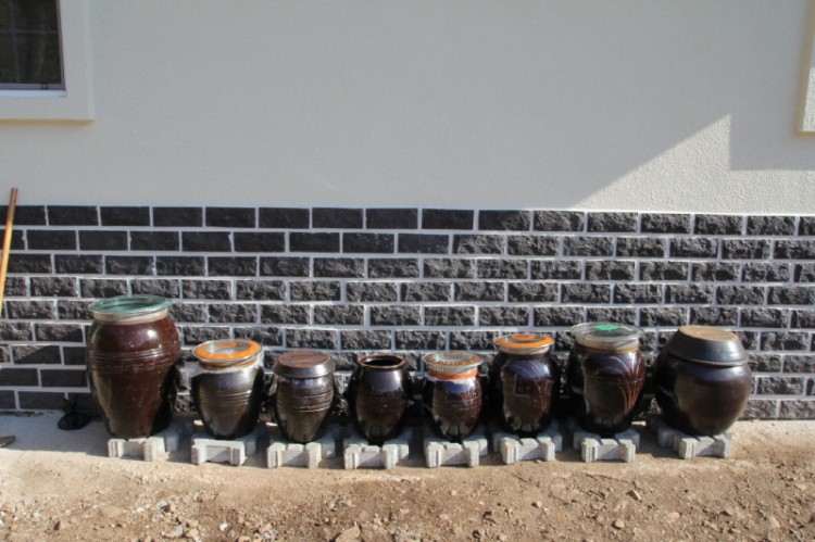 09ba751e6aec8314aa1413c9742bce69_1493280