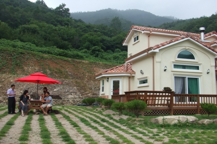 3786f734dcd01767cbcc340b11c162ec_1493097