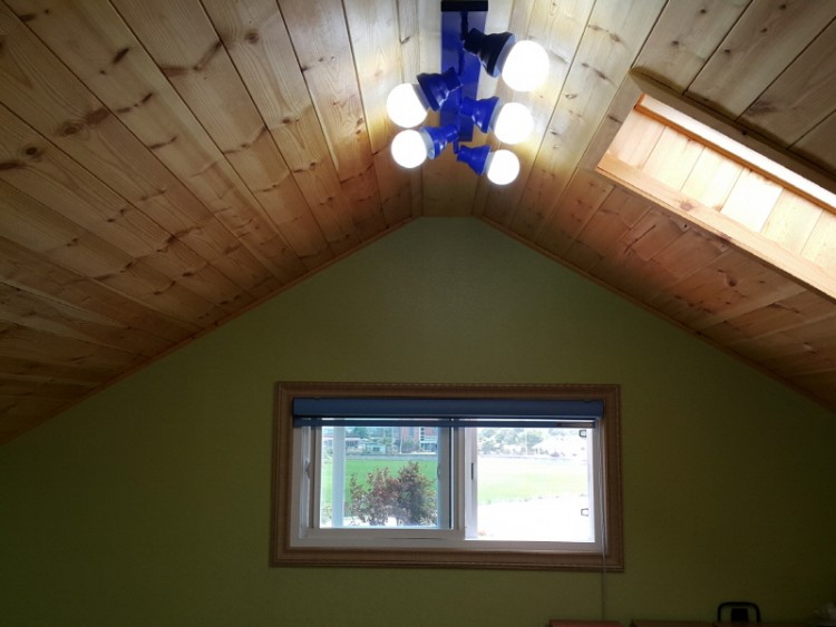 3786f734dcd01767cbcc340b11c162ec_1493101