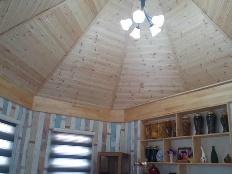 3786f734dcd01767cbcc340b11c162ec_1493102