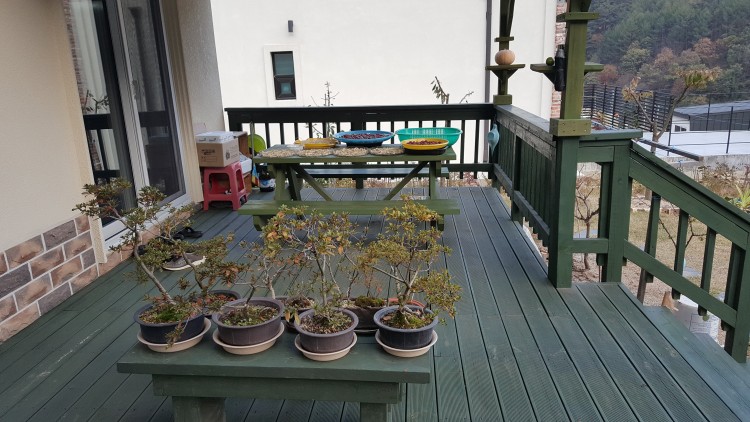 dffef146cca56ce3d96d0cf25822201d_1580223