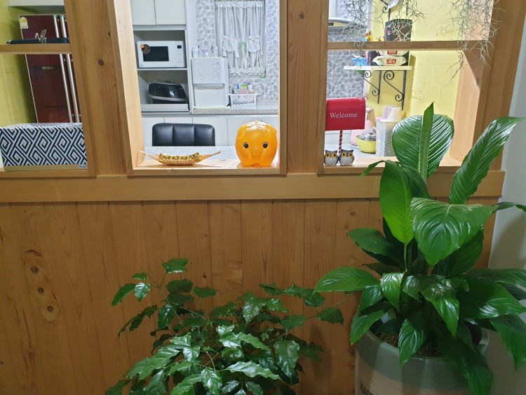 f7916cf5aff53509a7939610a15aff37_1581334