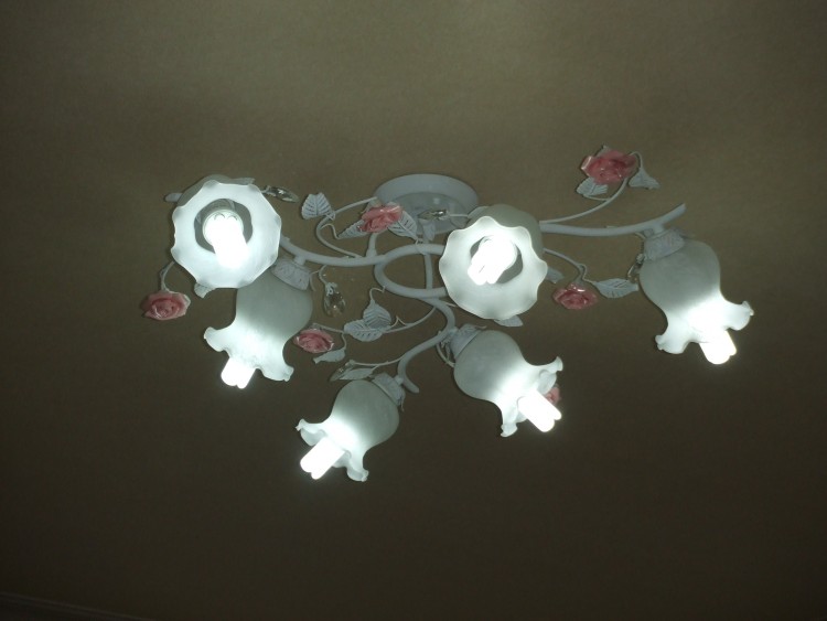 f7916cf5aff53509a7939610a15aff37_1581335