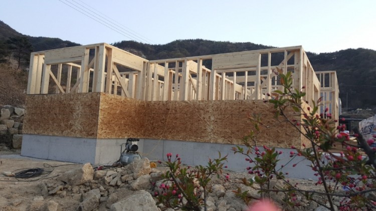 51d1d4766ee5553e83d3a6174c524fbb_1584274