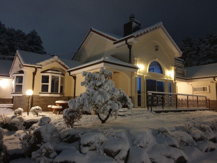 51d1d4766ee5553e83d3a6174c524fbb_1584275