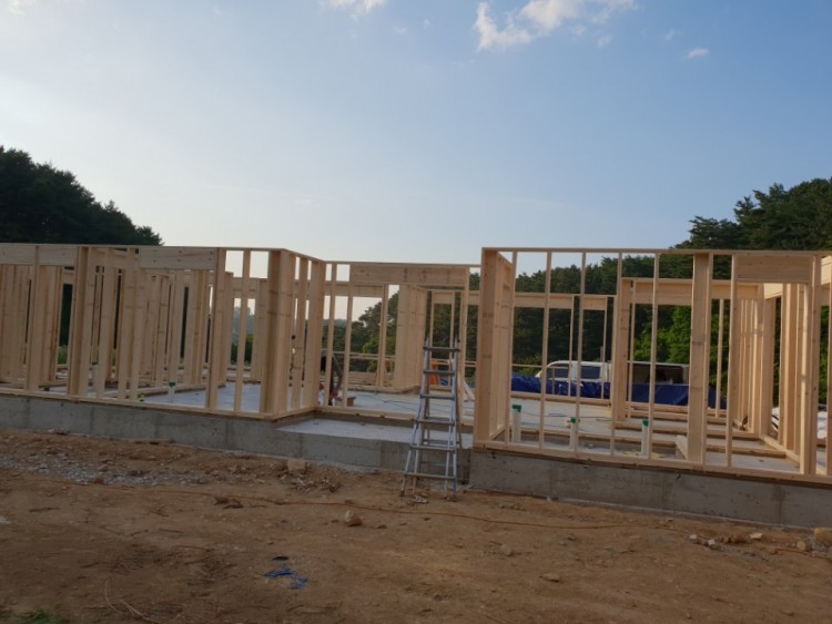 51d1d4766ee5553e83d3a6174c524fbb_1584275