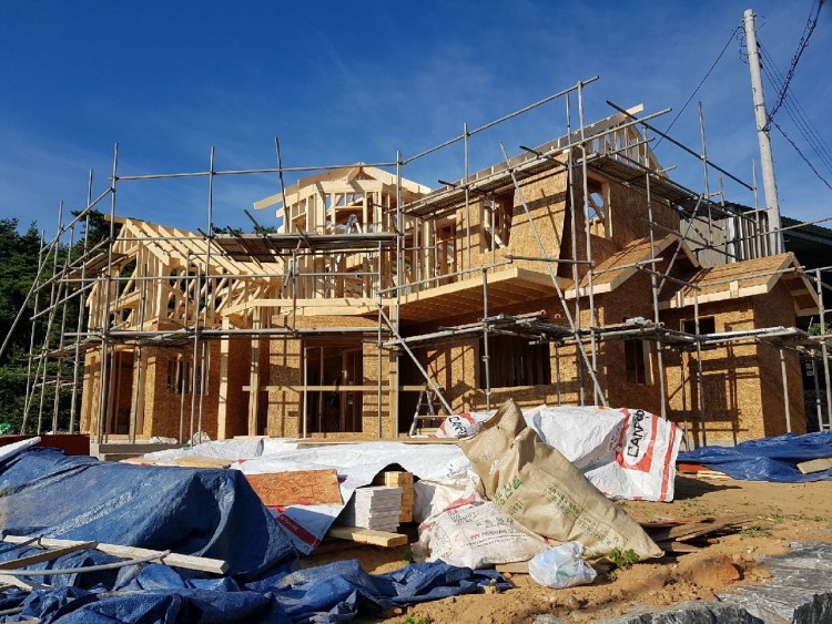 51d1d4766ee5553e83d3a6174c524fbb_1584275