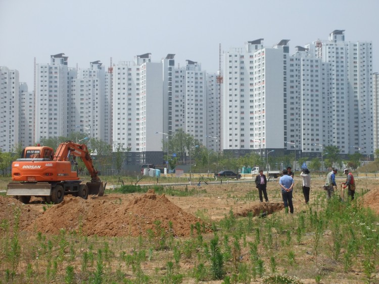 51d1d4766ee5553e83d3a6174c524fbb_1584276