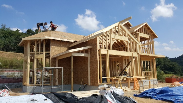 51d1d4766ee5553e83d3a6174c524fbb_1584278