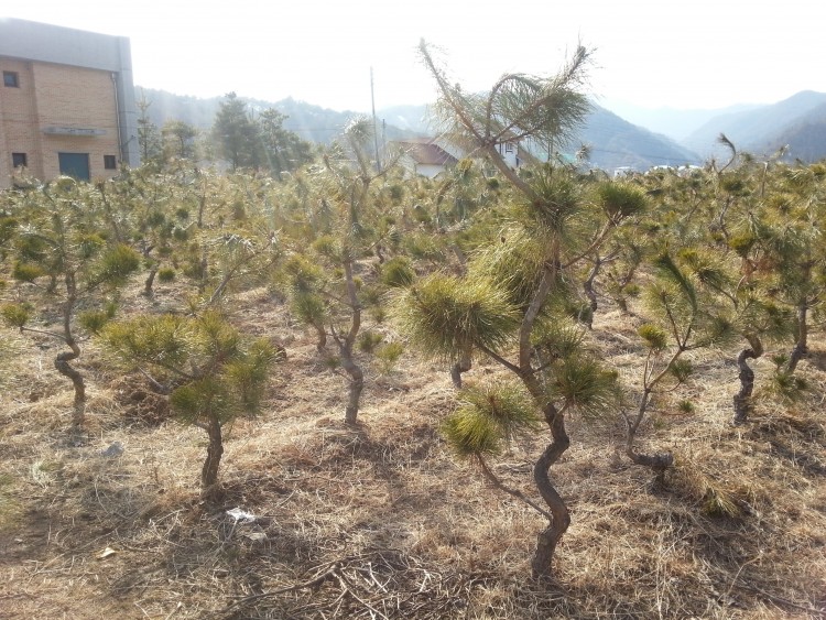 bbacdb2244c9cfa09ef4958a04aaf0f0_1584025