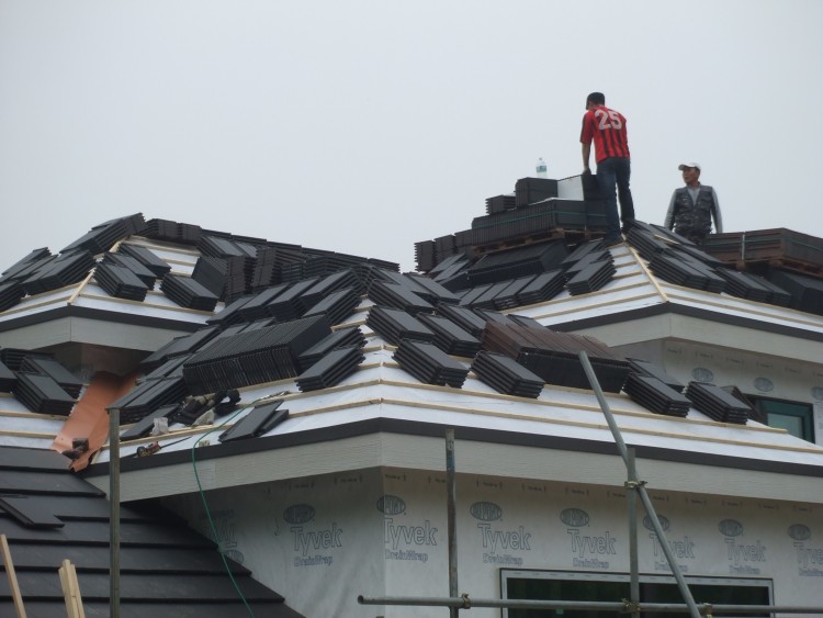 bbacdb2244c9cfa09ef4958a04aaf0f0_1584025