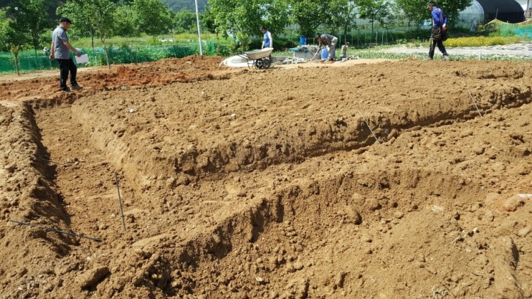 bbacdb2244c9cfa09ef4958a04aaf0f0_1584036