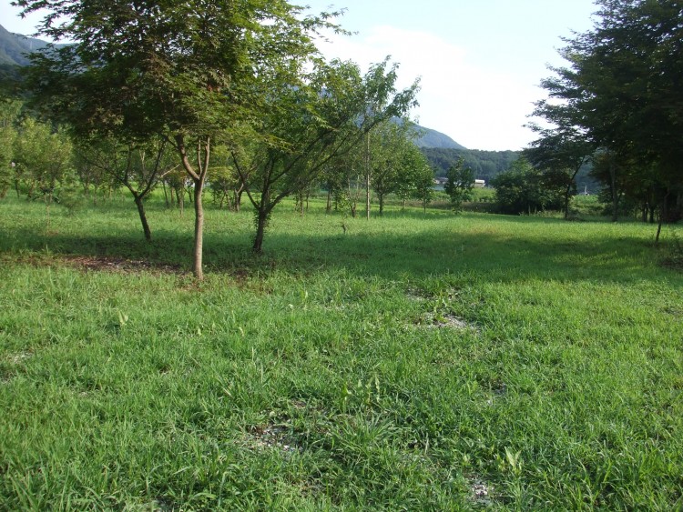 c8bc8740600ebd1d6a3f5dfbaef434cd_1583628