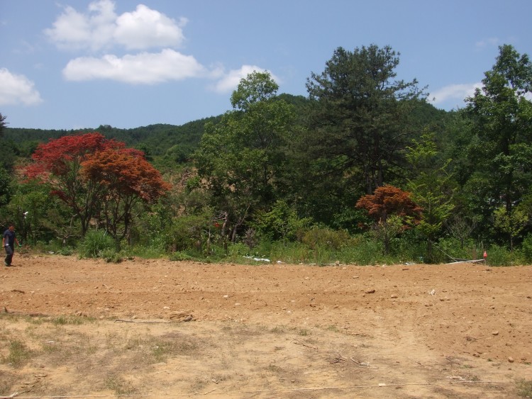 c8bc8740600ebd1d6a3f5dfbaef434cd_1583630