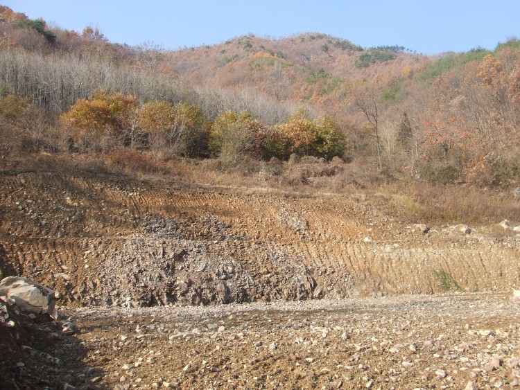 c8bc8740600ebd1d6a3f5dfbaef434cd_1583636