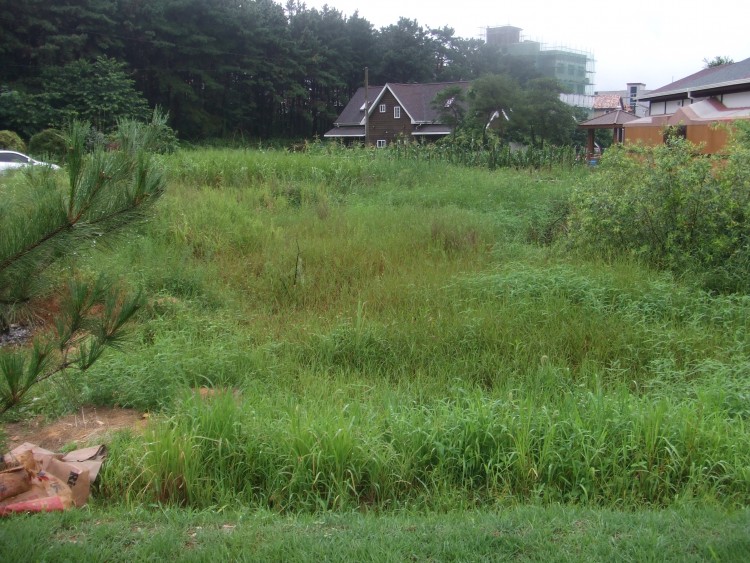 f86712ad57fd698035ad4b720797ee67_1583587