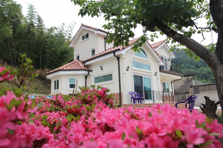 468930dc45671c7630dcafd70c800931_1587299