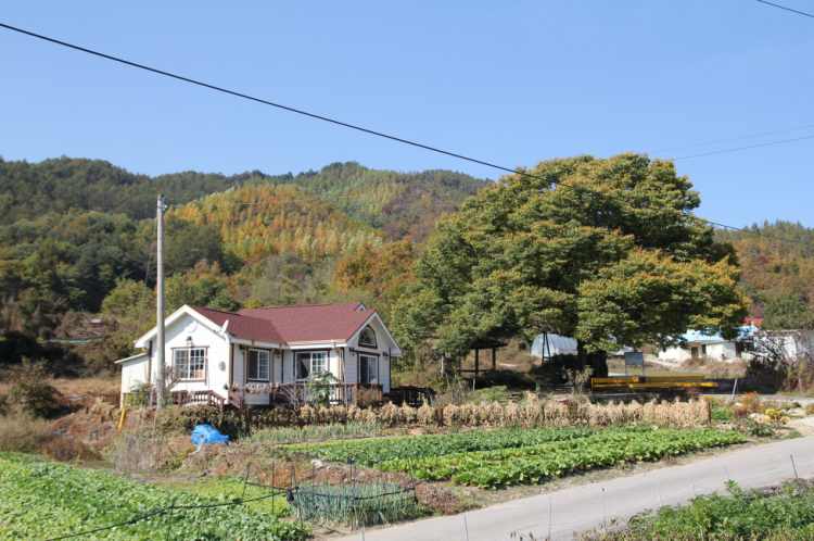 4c82a84ac5a772b528c40abc370ee0e5_1592743