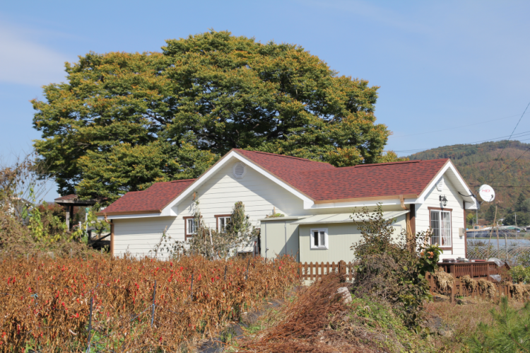 4c82a84ac5a772b528c40abc370ee0e5_1592743