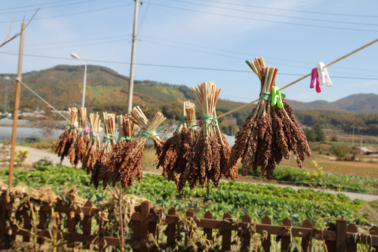 4c82a84ac5a772b528c40abc370ee0e5_1592743