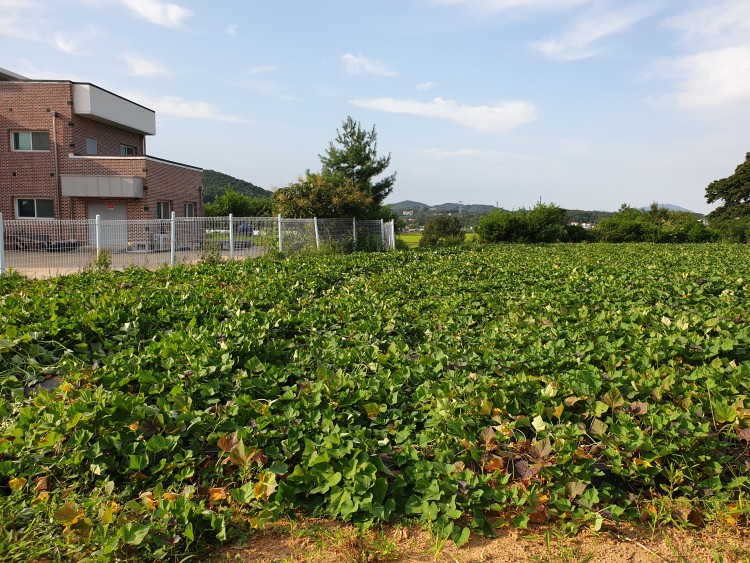 5e09a29f854d055596a404bc5d870bad_1593223