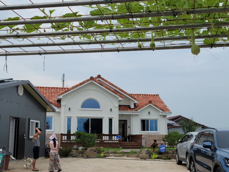 115477a5a56a202cfc14d56936de84bb_1628123