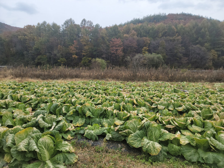 2059a9290be2eca2535223d13c711cbb_1647014