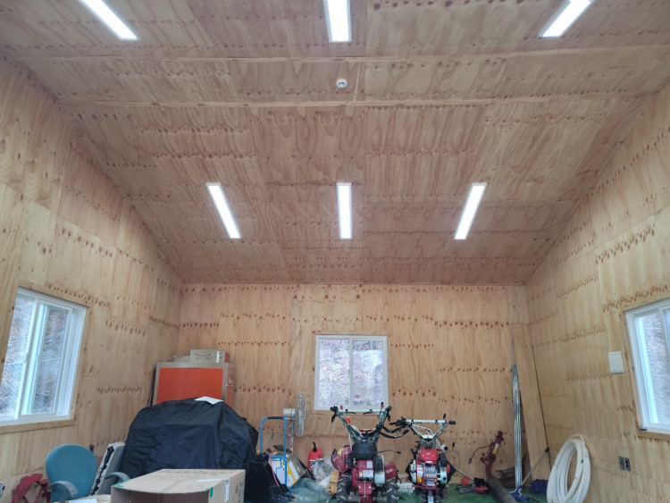 c313d604a66cb801cfa4e80d8fff1753_1648261