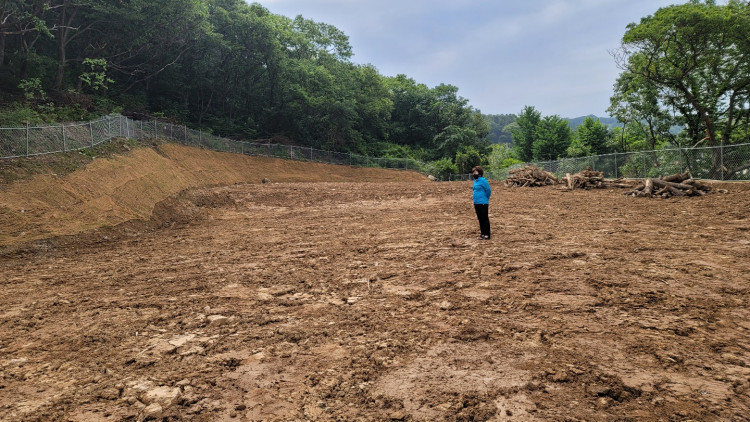 3312efbdf1620dfaa7714c2be3242905_1650202