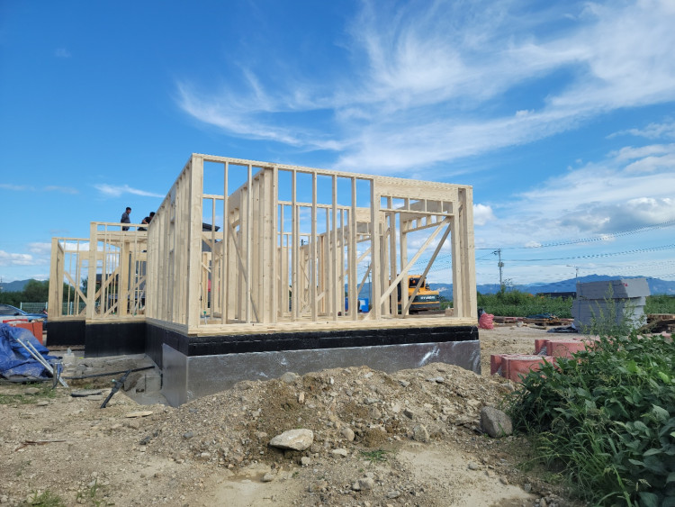 3312efbdf1620dfaa7714c2be3242905_1650202