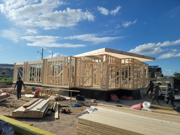 3312efbdf1620dfaa7714c2be3242905_1650202