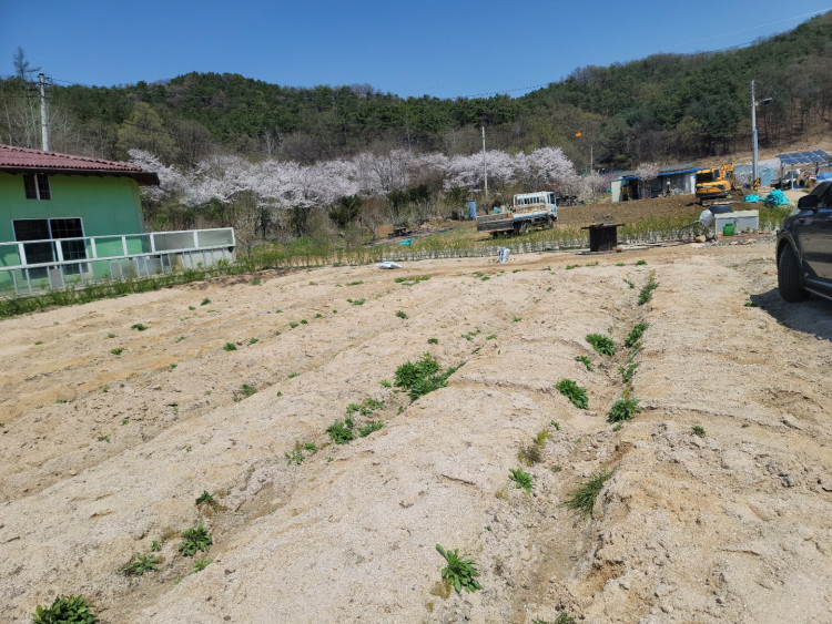 40ac46b659fe91f8bb27a4f2fa05a5cd_1650072