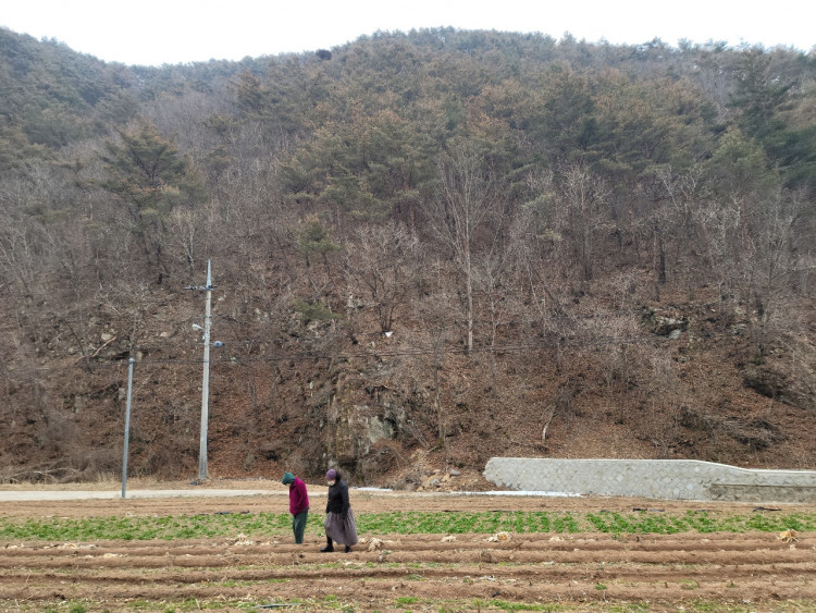 7f1bba69436734945c79cdec563cbac7_1651151