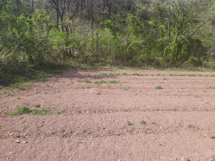 7f1bba69436734945c79cdec563cbac7_1651151