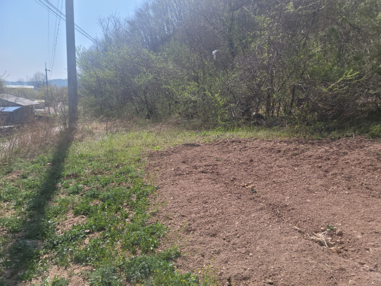 7f1bba69436734945c79cdec563cbac7_1651151