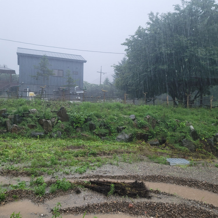 7681f51c930d1a1510798f56c8242bdc_1658405