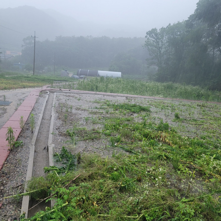 7681f51c930d1a1510798f56c8242bdc_1658405