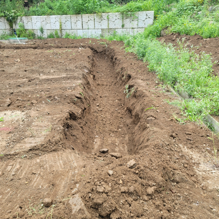 984bcf8a3fc8e3c1b20e149b96a99d82_1659652