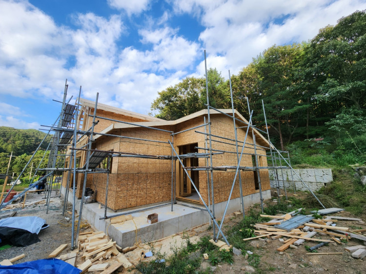 3720d8663f8fb55adbf57d635a131f2b_1666146