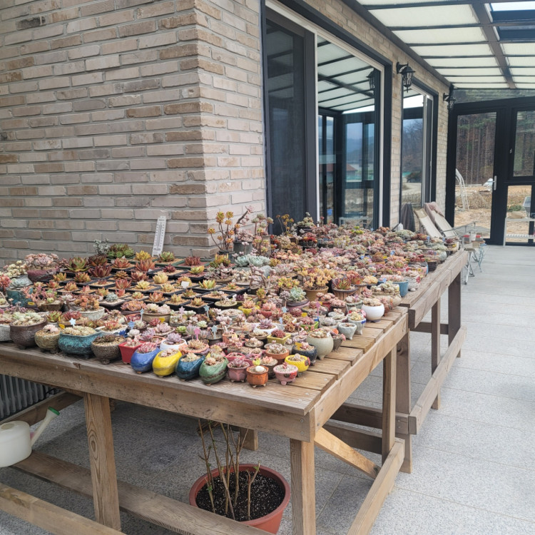 c967d0031b45bd878f44ba3e110a1a21_1669038