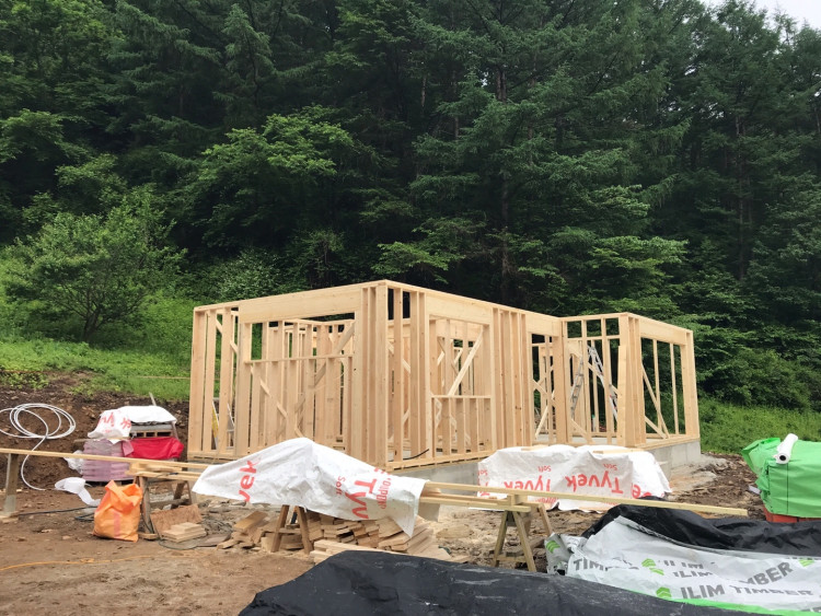 d433d9cf9f7d45e157a555074051fd55_1690977